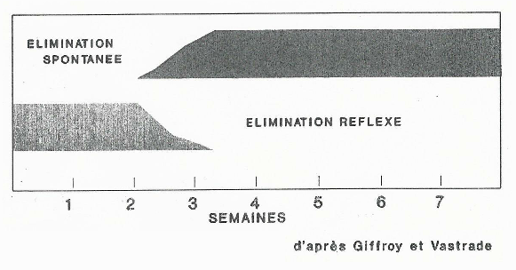 Comportement éliminatoire du chiot